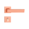 BEETHOVEN-ROSE-EXTERNA