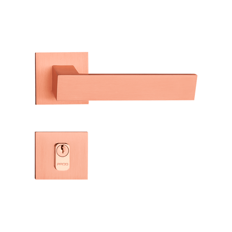 BEETHOVEN-ROSE-EXTERNA BEETHOVEN-ROSE-EXTERNA