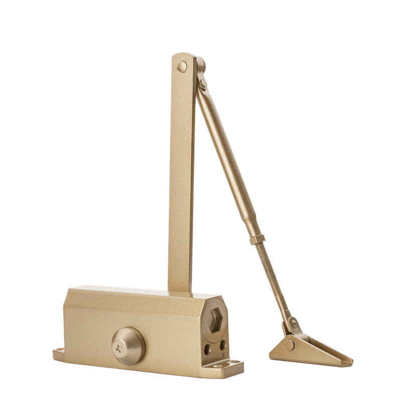 52019887_Main 52019887_Main