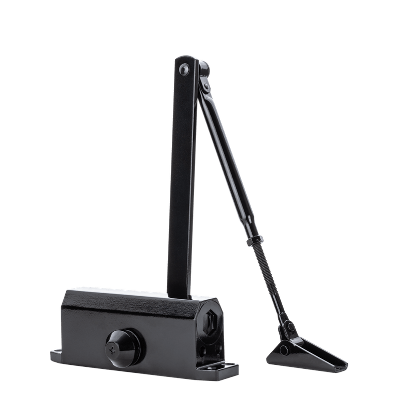 52019884_Main 52019884_Main