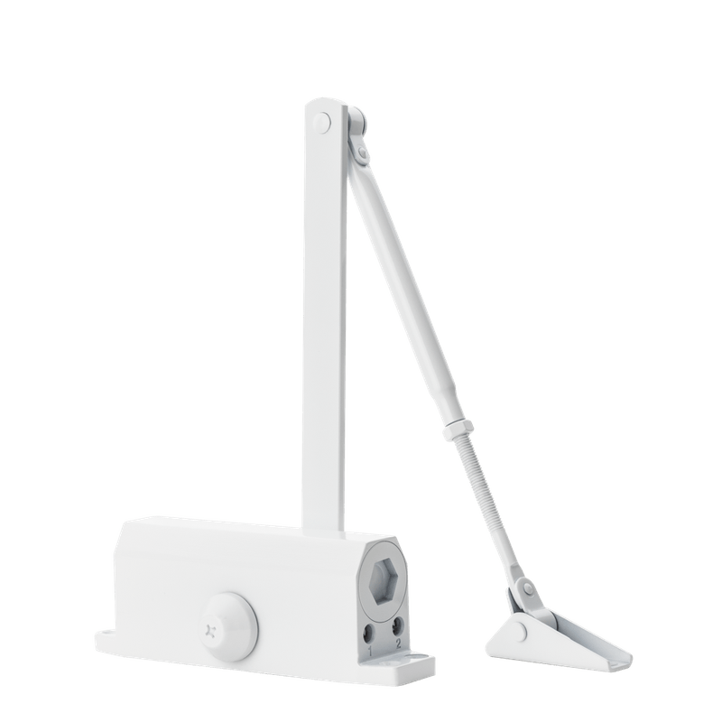 52019885_Main 52019885_Main