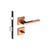 54025303_Main