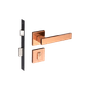 54025347_Main
