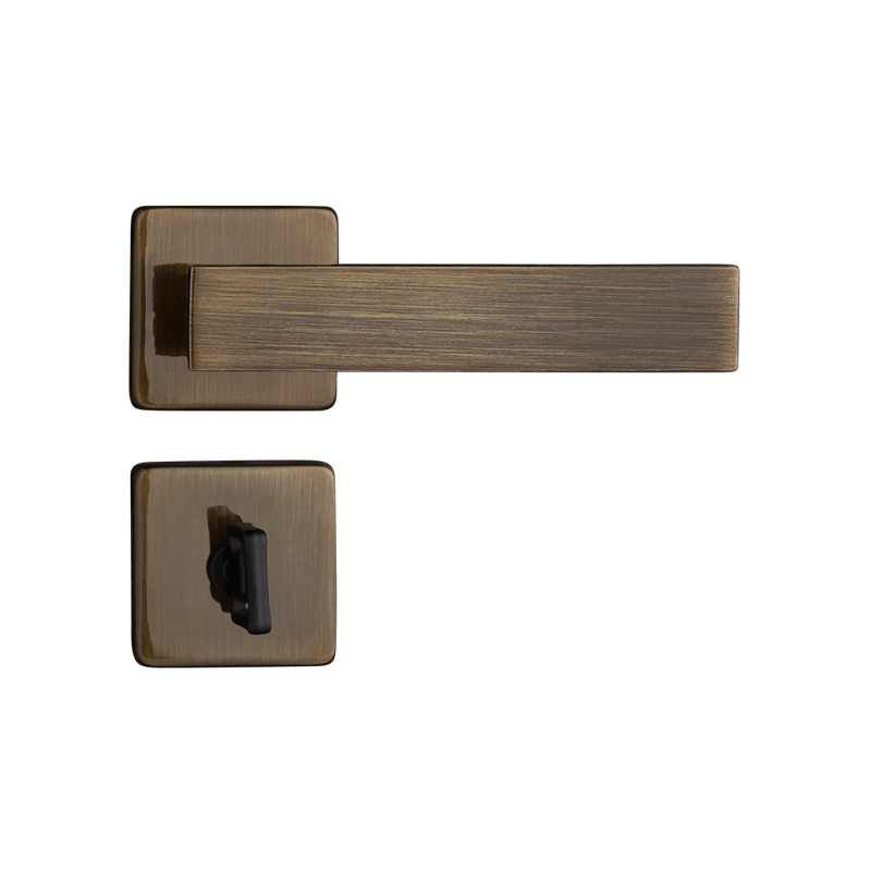 54019981_1 54019981_1