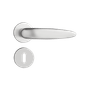 54019208_1