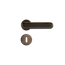 54032025