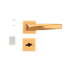 54025152-2