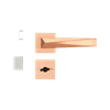 54025158-2