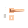 54025156-2