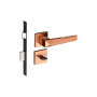 54025158