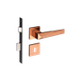 54025156