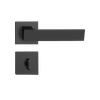 54022984