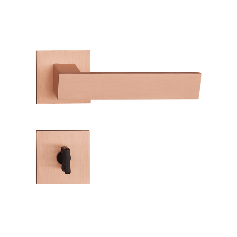 54022987_1 54022987_1