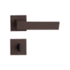 54022986_1--1-