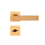 RGE