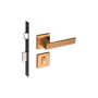 54025269_Main