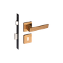 54025271_Main