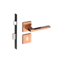 54025325_Main