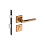 54025317_Main