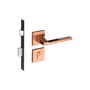 54025323_Main