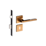 54025295_Main