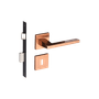 54025301_Main