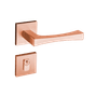 54023091