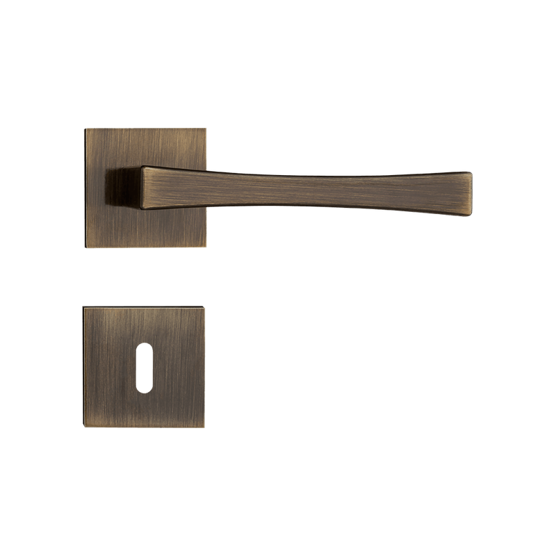 54020526_1 54020526_1