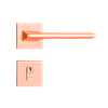54023059_MAIN