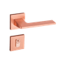 54023059