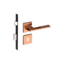 54025253_Main
