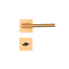 CE--21-