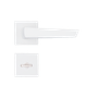 BRT