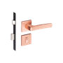 54024889