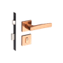 54025179