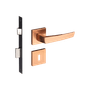54025205