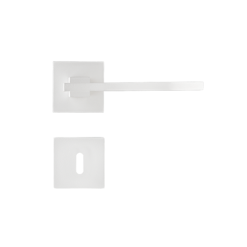 54024412_1 54024412_1