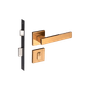 54025341_Main