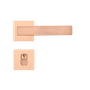 EPT--12-