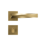 Copia-de-Ascot_RQ2_externa_dourado