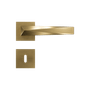 54032694