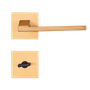 54025321