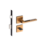 54025321_Main