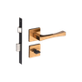 54025369_Main